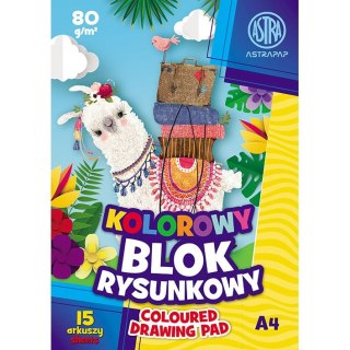 Blok rysunkowy ASTRAPAP A4 mix 80g 15k Astra (106021004)