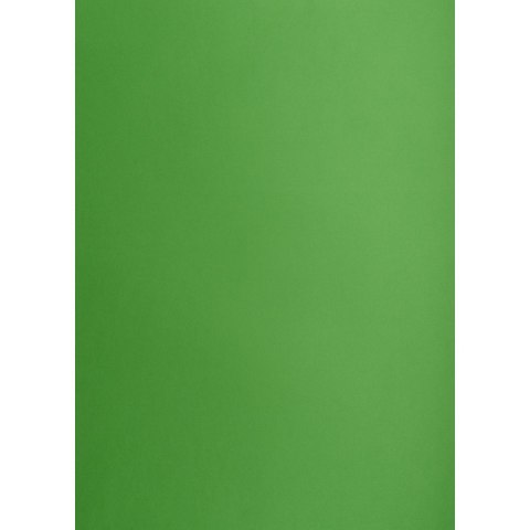 Brystol zielony B1 Zielony 225g 1k Creatinio (400150268)