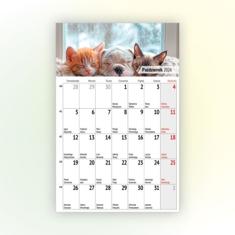 Kalendarz ścienny na lodówkę z magnesem 137mm x 210mm Press (MILUSIŃSCY)