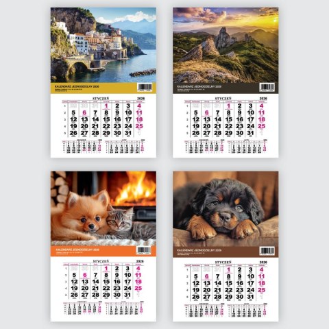Kalendarz ścienny na lodówkę z magnesem 137mm x 210mm Press (MILUSIŃSCY)