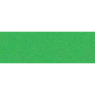 Papier kolorowy A4 Joy zielony 160g Happy Color (2130-5)