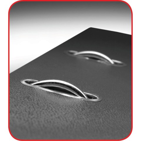 Segregator dźwigniowy 10546901 Cytryny A4 80mm Herlitz (300002558)