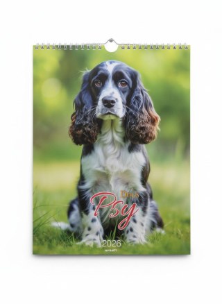 Kalendarz ścienny MAŁY SPIRALA PSY 230mm x 305mm Avanti (KSMS-3)