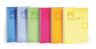 Kołozeszyt (kołonotatnik) A6 80k. 70g kratka Mintra (90827)