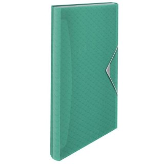 Teczka z przegródkami Colour Breeze A4 kolor: zielony 6 przegródek Esselte (626253)