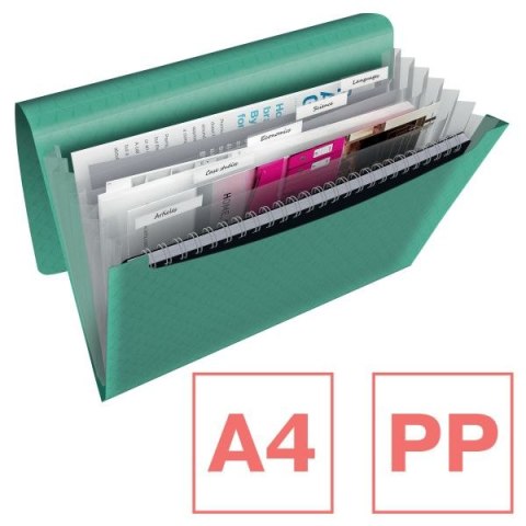 Teczka z przegródkami Colour Breeze A4 kolor: zielony 6 przegródek Esselte (626253)