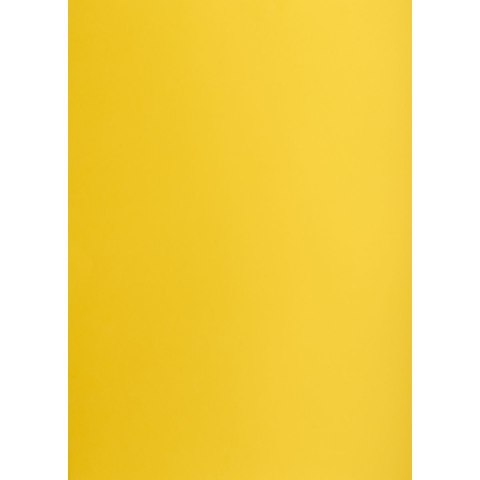 Brystol żółty ciemny B2 żółty Creatinio (400150326)