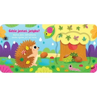 Książka dla dzieci Otwórz okienko! Gdzie jesteś, jeżyku? Aksjomat