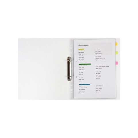 Segregator ringowy KITTENS A4 mix Biurfol (SEN-A4-35)