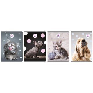 Zeszyt A5 The Sweet Pets 60k. krata Beniamin (6112)