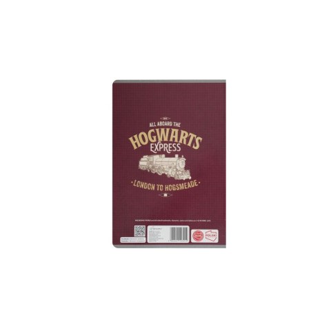 Zeszyt Harry Potter Beniamin