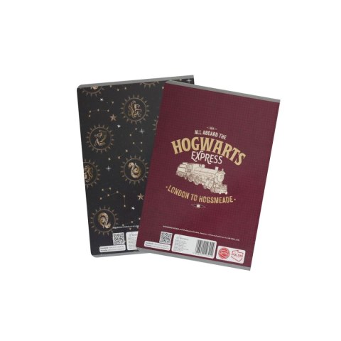 Zeszyt Harry Potter Beniamin