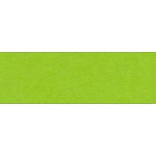 Papier kolorowy A4 Joy zielony jasny 160g Happy Color (2130-50)