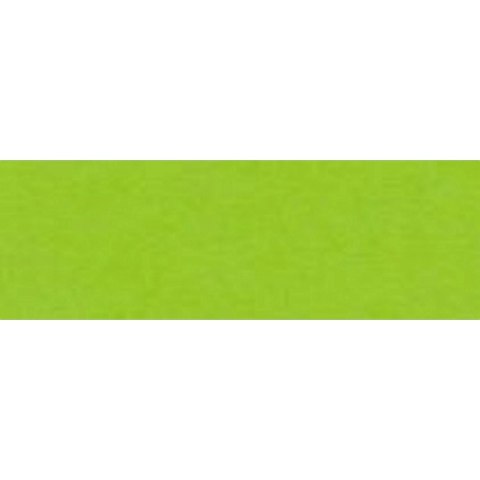 Papier kolorowy A4 Joy zielony jasny 160g Happy Color (2130-50)