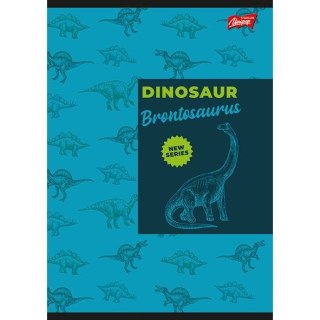 Zeszyt A5 16k. linia kolor Bambino