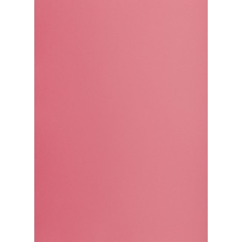 Brystol A1 różowy 160g 25k [mm:] 610x860 TOP-2000 (400149529)