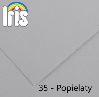 Brystol Iris 35 B1 popielaty 240g 25k [mm:] 700x1000 Canson (200040474)