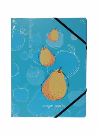 Teczka kartonowa na gumkę GRUSZKA A4 A4 mix Tetis (BT601-A1(96))