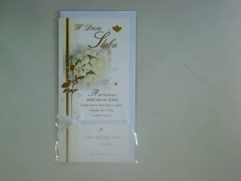 Kartka składana DL SatyNova SN / SNV [mm:] 230x122 Artis collage