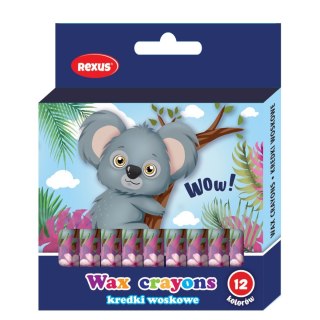 Kredki świecowe 12 kol. Rexus (603543)