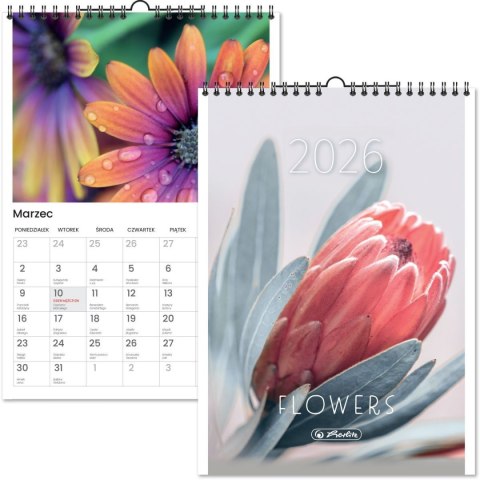 Kalendarz ścienny 12kartek ścienny A4 Herlitz (400204138)