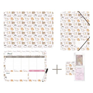 Zestaw szkolny Kittens 4 el. Biurfol (KPL-NADRUK-01-35)