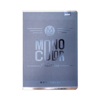 Zeszyt monocolor Beniamin (5375)