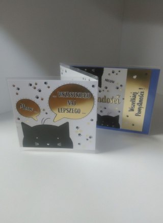 Kartka składana B6 KARNET B6 składany koty Henry (5905701484133)