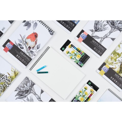 Pastele olejne Artistic 12 kol. Oxford (400184262)