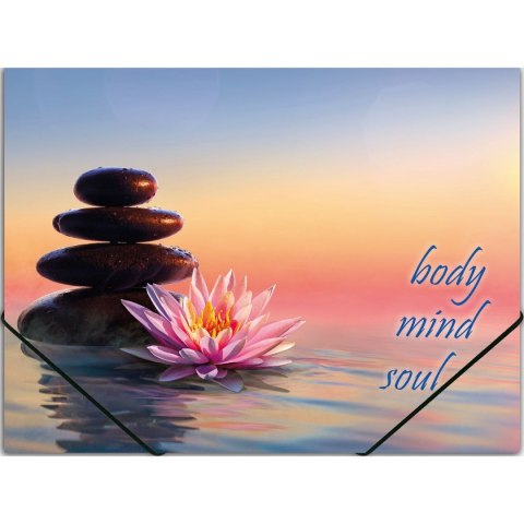 Segregator ringowy Zen Panta Plast (0410-0064-48)