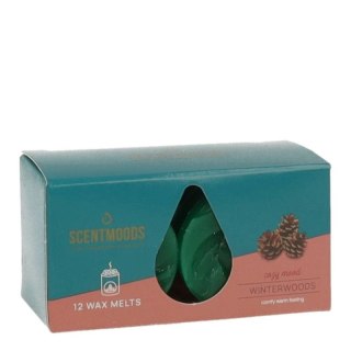 Świeca ScentMoods wosk zapachowy Winterwoods 12 sztuk Zielony Pavoncella (8720935400219)