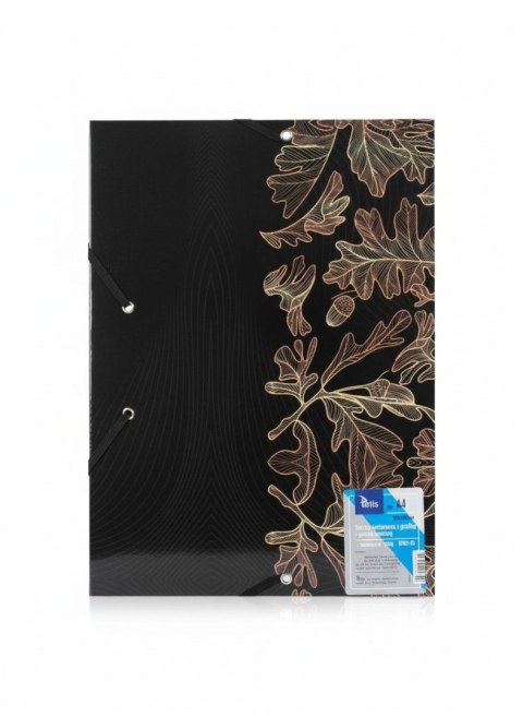 Teczka kartonowa na gumkę LIŚCIE A4 mix Tetis (BT601-b3(96))
