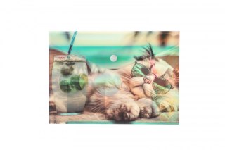 Teczka plastikowa na guzik CHILLOUT Cat A5 mix Panta Plast (0410-0069-54)