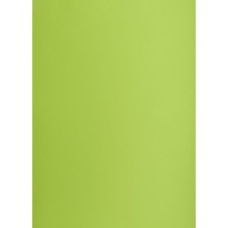 Brystol zielony jasny B1 zielony jasny 225g 1k Creatinio (400150267)