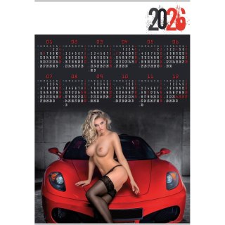 Kalendarz ścienny PATI plakatowy 607mm x 880mm Lucrum (PL20)