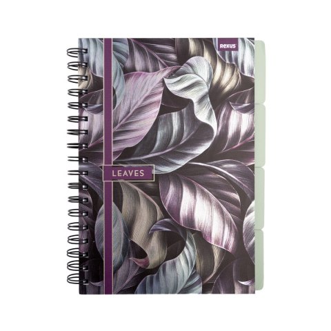 Notes (notatnik) B5 metaliza 96k. krata Beniamin