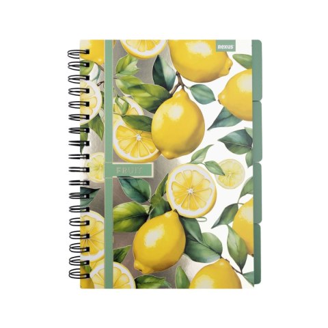 Notes (notatnik) B5 metaliza 96k. krata Beniamin