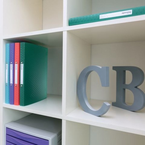 Segregator ringowy Colour Breeze A4 25mm koralowy Esselte (628435)