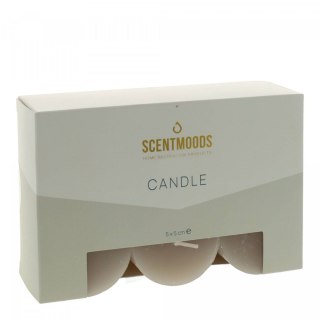 Świeca pieńkowa 5x5cm 6szt., w kolorze Taupe Pavoncella (8720935400929)