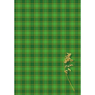 Brulion A4 300k. krata Kreska