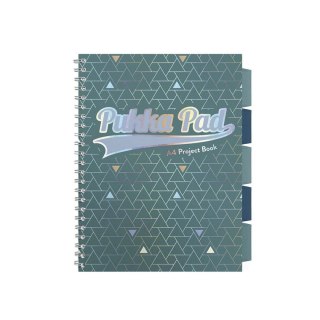 Kołozeszyt (kołonotatnik) A4 GLEE PROJECT BOOK 200k. 80g krata Pukka (3005)