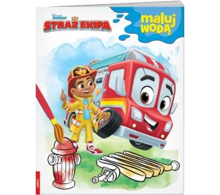 Książka dla dzieci Disney Maluch MALUJ WODĄ Ameet (MW 9123)