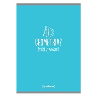 Zeszyt A5 Geometria 9583352 32k. gładki Herlitz (300023106)