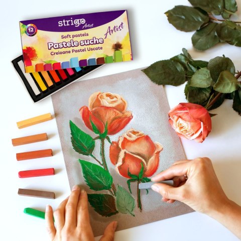 Pastele suche 12 kol 12 kol. Strigo (SSC397)