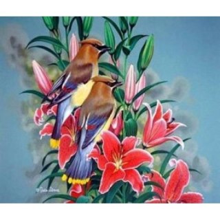 Zestaw kreatywny malowanie po numerach - ptaszki na gałązce Norimpex (NO-1005644)