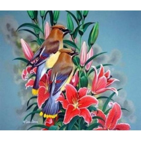 Zestaw kreatywny malowanie po numerach - ptaszki na gałązce Norimpex (NO-1005644)