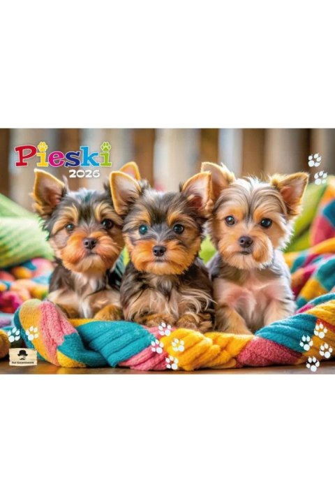Kalendarz ścienny ALBUMOWY PIESKI 320mm x 470mm Pan Kalendarzyk (KSA V.1)