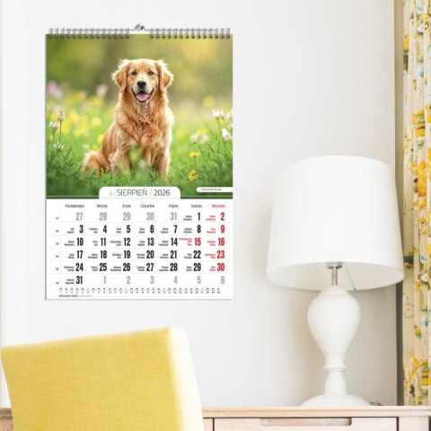 Kalendarz ścienny WIELOPLANSZOWY 16K A3 Press