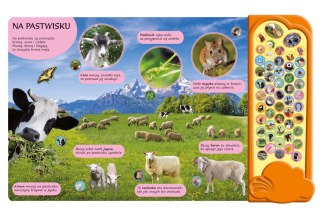 Książka dla dzieci dźwiękowa na wsi Morex