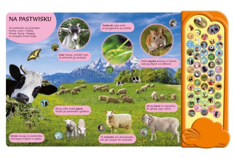 Książka dla dzieci dźwiękowa na wsi Morex